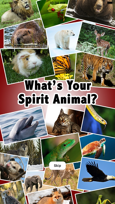 Simulator Screen Shot - iPhone 8 Plus - 2022-08-15 at 10.34.28.png