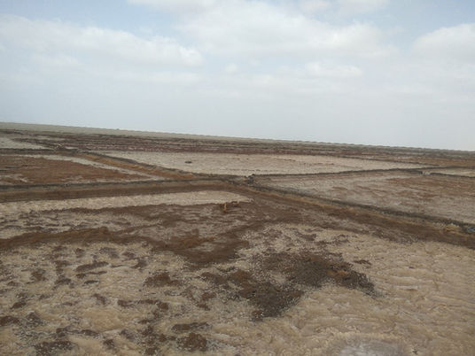 DETECTION AND PREVENTION OF TOXIC GAS ACCIDENTS IN SALT WELLS OF KUTCH REGION