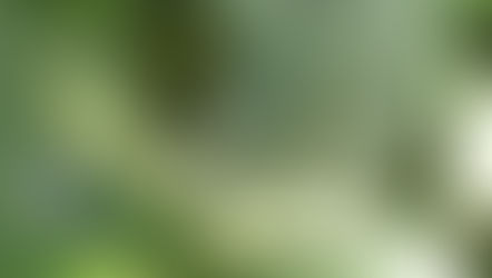 Smart insect repeller for the farms