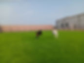 DSC_3036.jpg