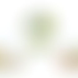 DESCRIZIONE GRAFICA DI ESG