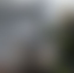 Polizze Catastrofali Obbligatorie: le FAQ del Ministero delle Imprese e del Made in Italy