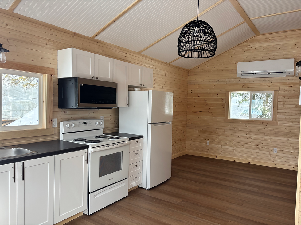Fairbank Lake Resort - Cottage 4 - Kitchen 01