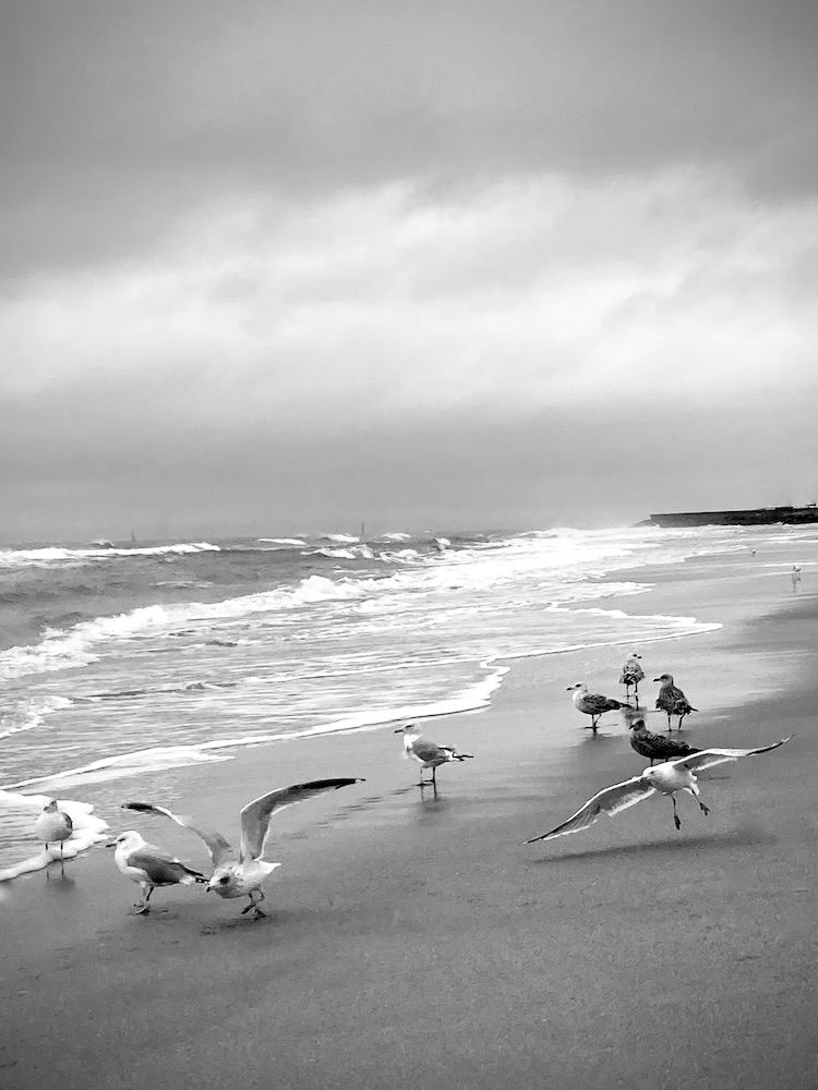 Dauville_2