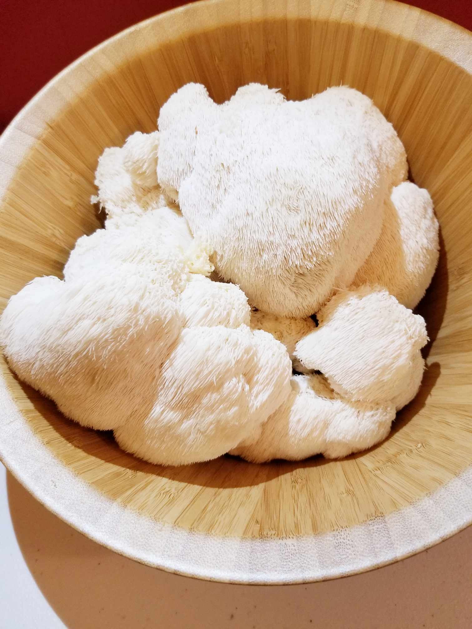 Lions Mane Mushrooms