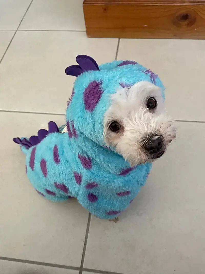 Thumbnail: Velvet Dinosaur  Pet cloth for pet & cat