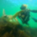 GOPR5271_edited_edited_edited.jpg