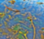 Viridis Enviro Natural Kelp Forest