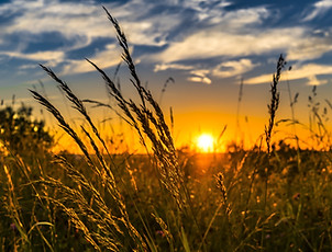 Organics Atlantic Our Environment.jpg