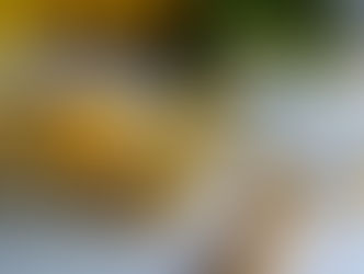 باستا الناتشوز