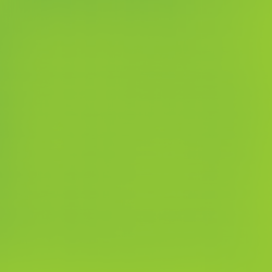 Reading Accuracy: Support for Teachers and Parents