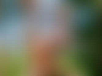 SEA CUAL SEA TU RUTINA, SKECHERS TIENE ELESTILO QUE VA CONTIGO