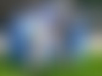 Club Amigos de los 4 Patas y Ford Paws celebran aniversario defamilias adoptivas