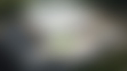 Encendido por presencia en Estadio Arena Corinthians