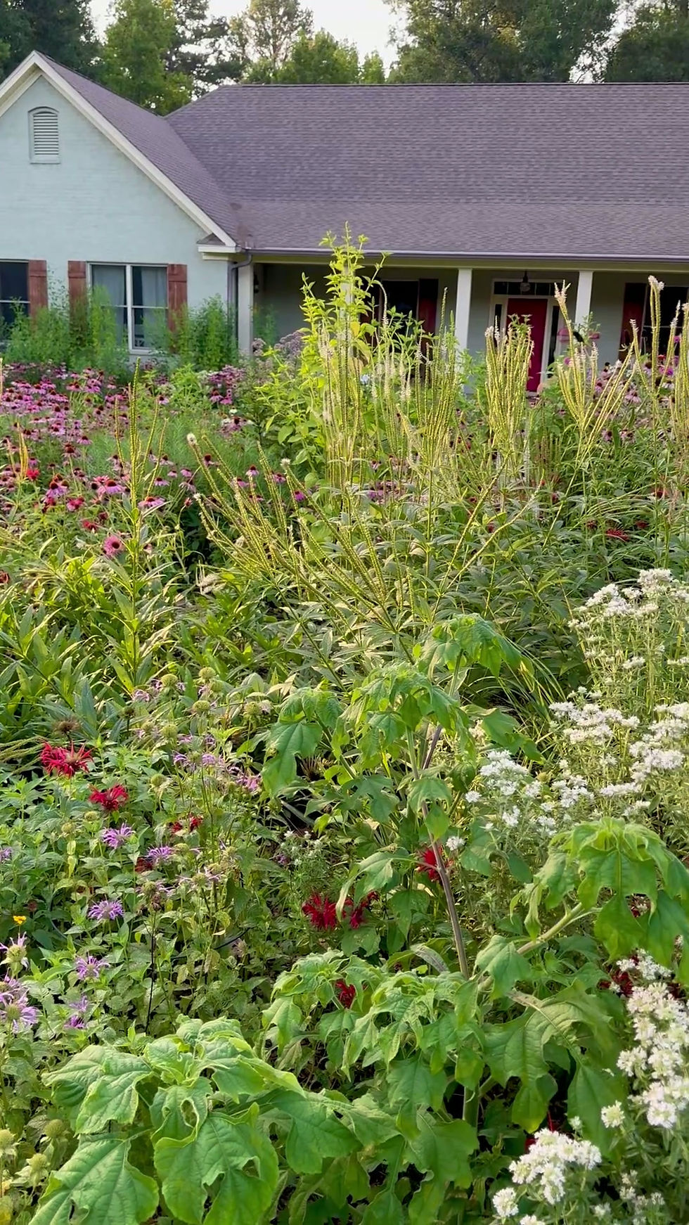 Thumbnail: Heather's Garden Plant Package 36 Plants $ 500.64