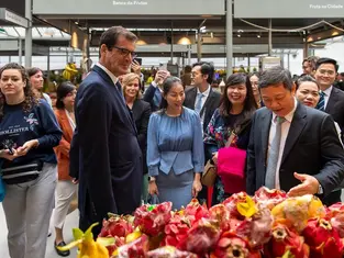 Leaders of Ho Chi Minh City attend Vietnam - Ho Chi Minh City Festival in Porto, Portugal