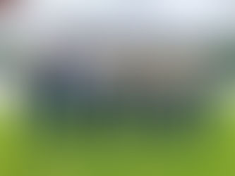 Österreichische Mannschaftsliga