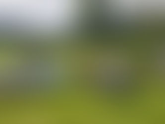 Eröffnungsturnier 2024