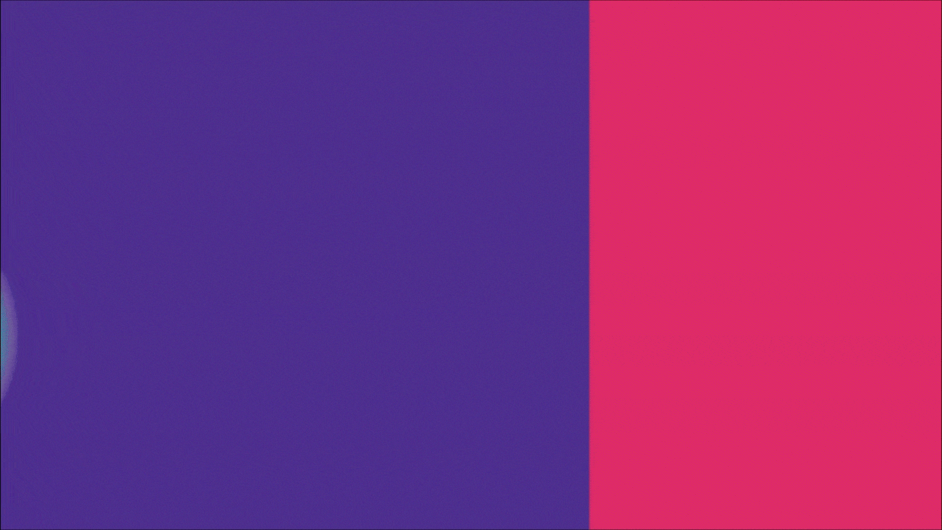 Cadastro WhatsApp _ Bella _final [HD].gif