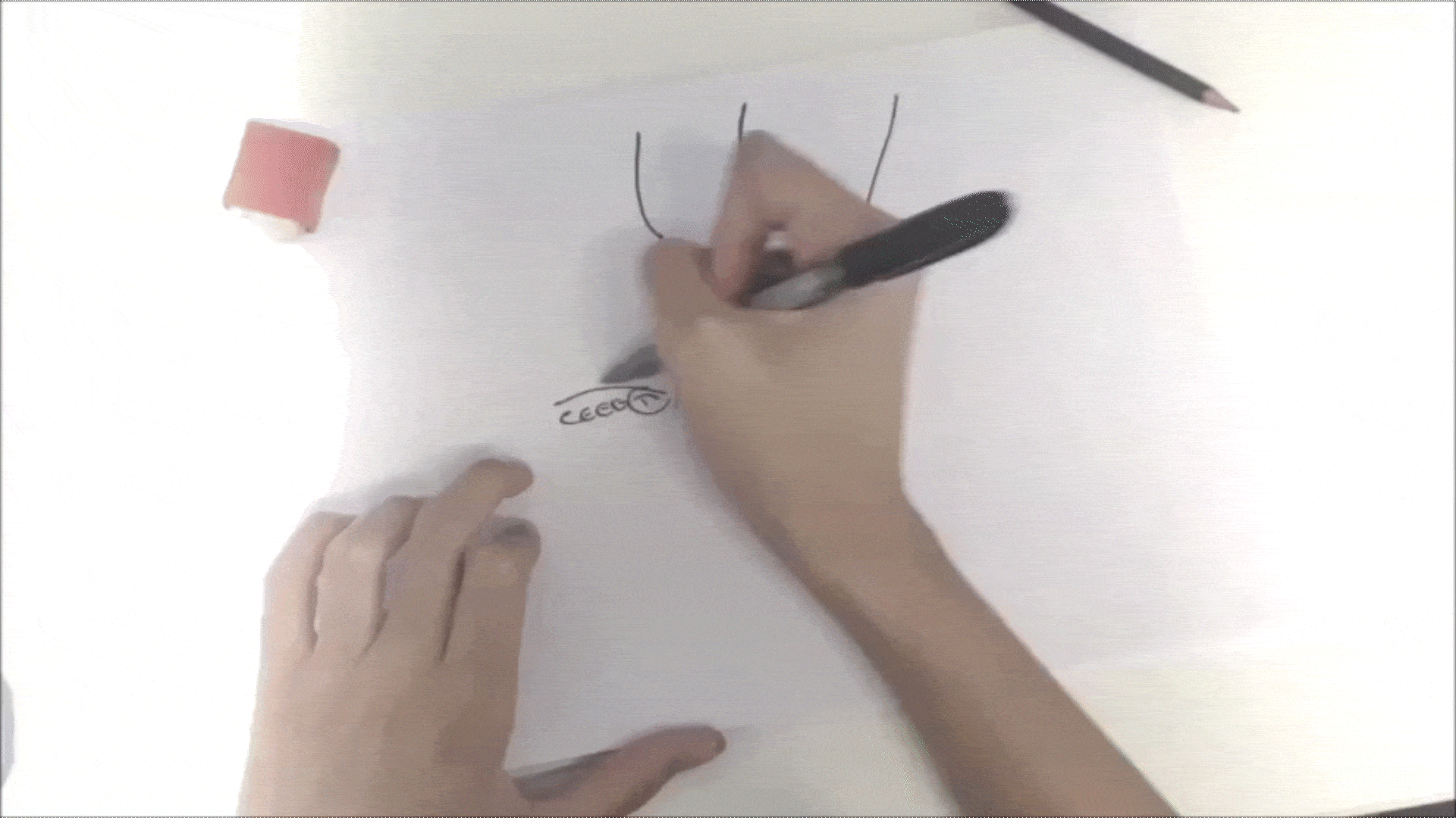 Nat2C _ Login CF [FINAL] LOW_2.gif