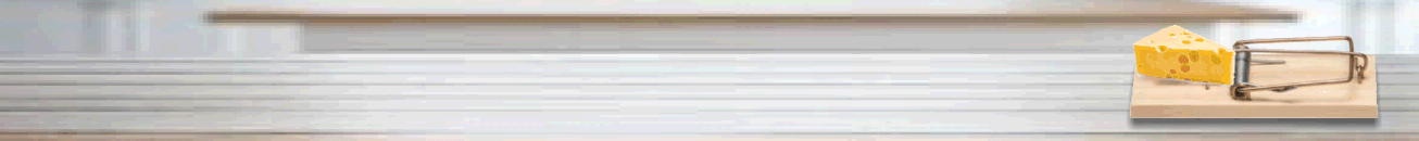 Mouse Advertise Here GIF.gif