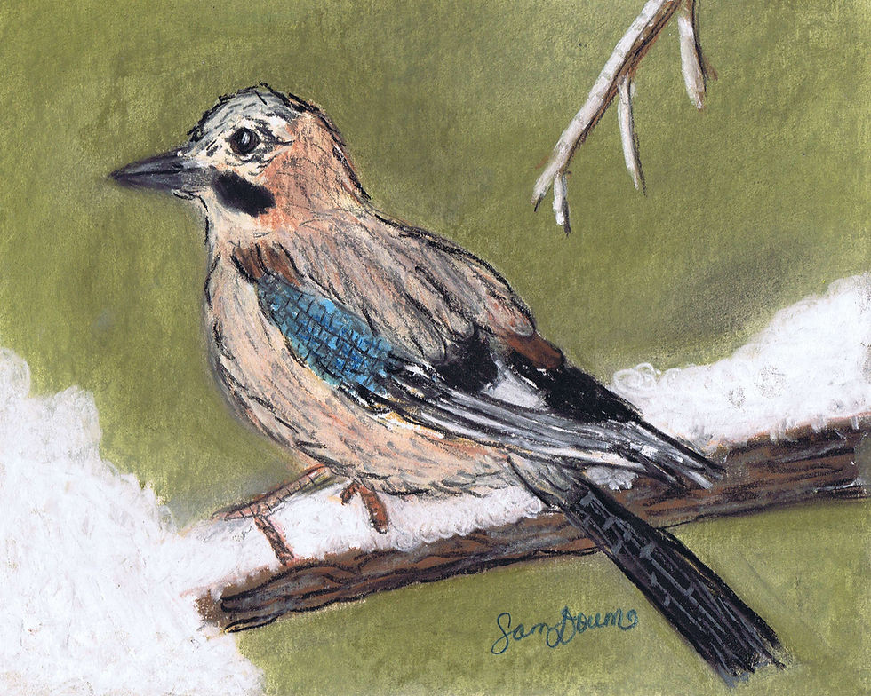 pastel painting of a bird