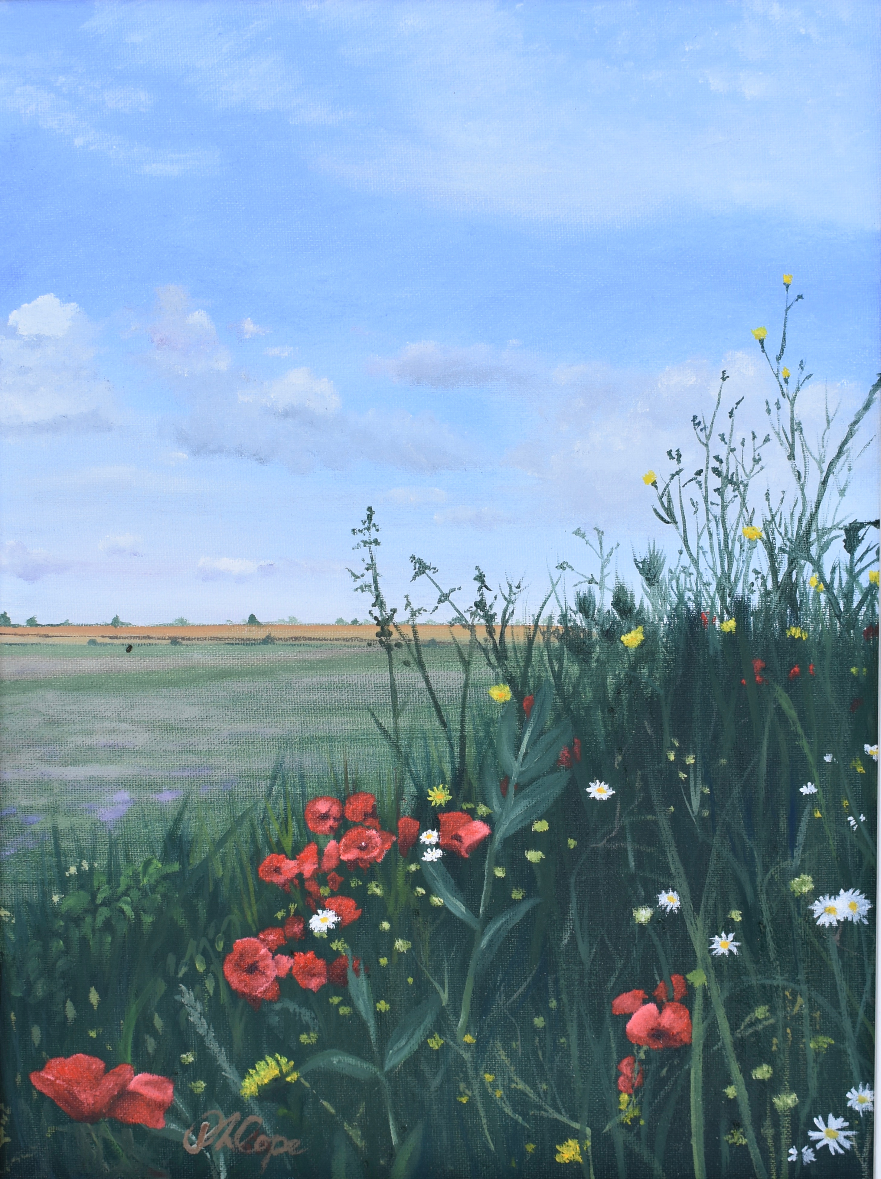 "Field Edge Flowers 1" - limited edition Fine Art print *A3