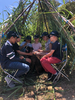 Survival camp nr1 004.jpeg