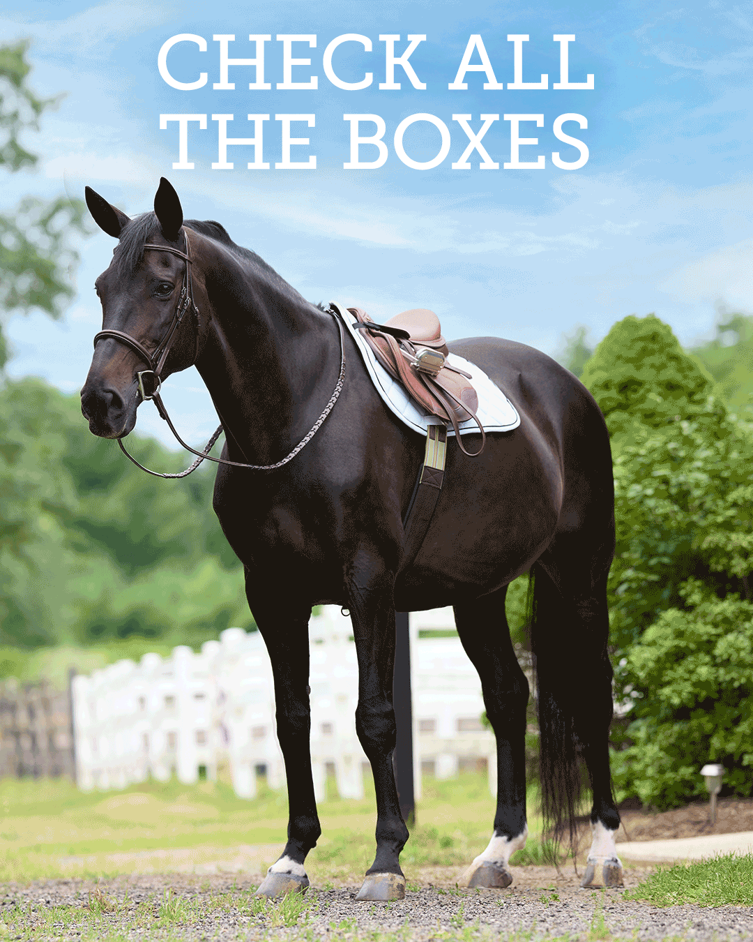 Email Marketing Campaigns, Social Media, Paid Ads, Web Banners