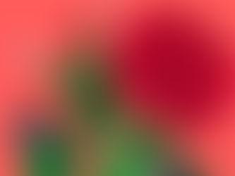 Els escriptors de Viladecans protagonitzen la Diada de Sant Jordi 2022