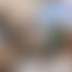 ConciliAcció, un projecte per impulsar a les empreses