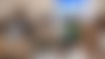 ConciliAcció, un projecte per impulsar a les empreses