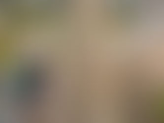 "Al BAIX, ofertes FLAIX” proposa descomptes exclusius durant tres caps de setmana de novembre