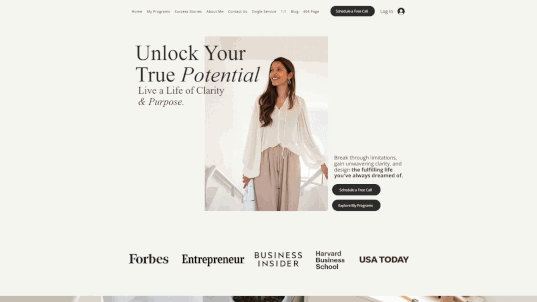 professional web design templates