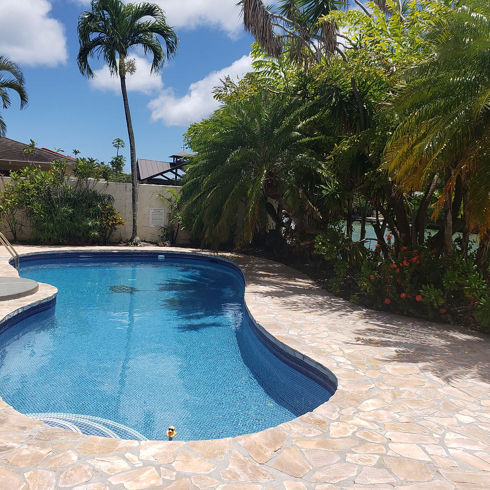 Pool Area