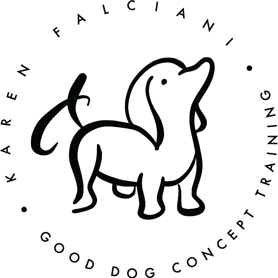 good-dog-concept-training