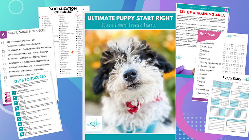 Ultimate puppy Computer picture.jpg