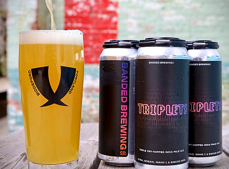 Triplets-tripledryhop-Banded-website.jpeg