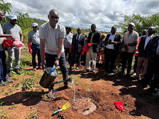 LL Water Board plant 6000 seedlings to boost water supply