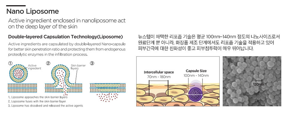 나노리포좀 공법