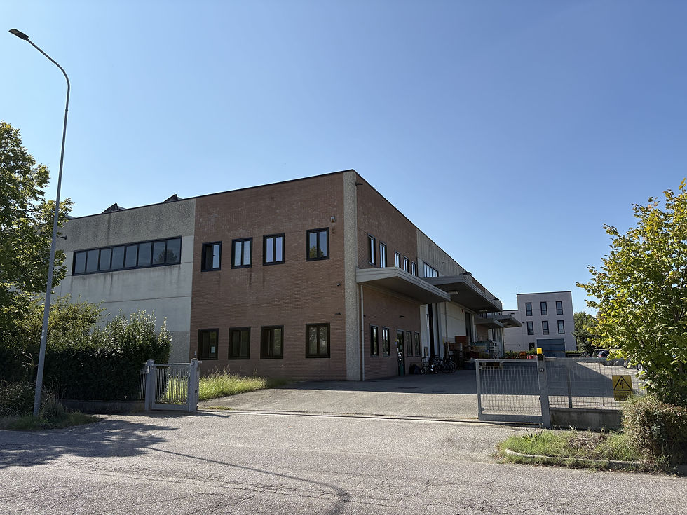 Clicca per ingrandire