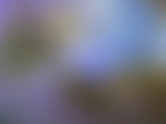 Reactive Oxygen Species