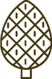 pine cone