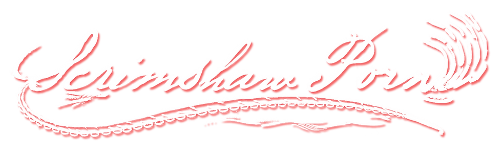 SP logo white transparent background w red drop shadow.png