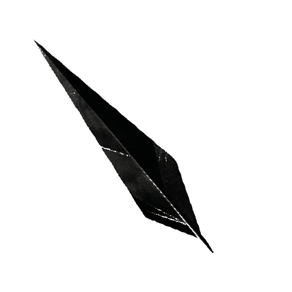 black feather.gif