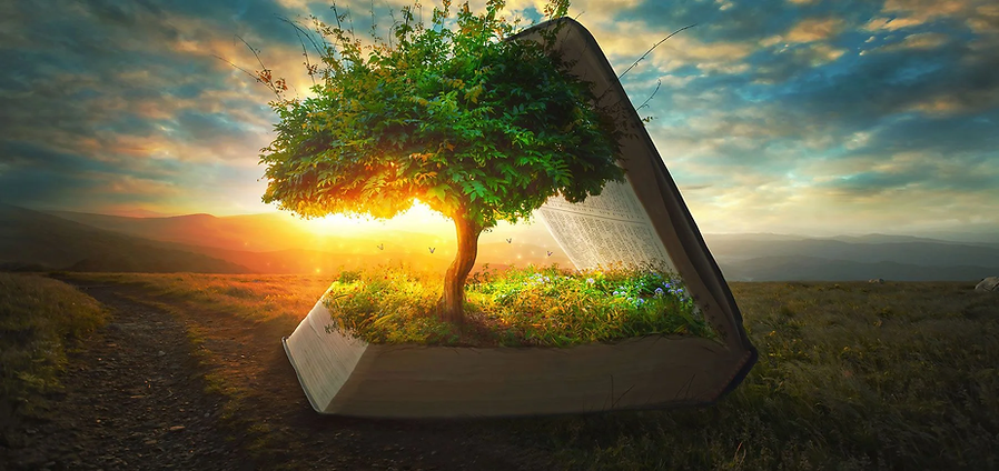 Tree growing out of book_great spiritual-revelation image_10-great-tools-for-your-spiritua