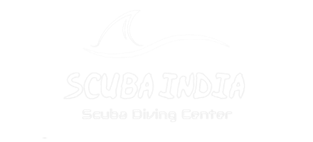scuba-india-logo-removebg-preview_edited.png