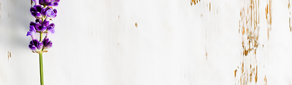 Banner mock up7.png
