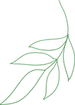 Layer 3.png