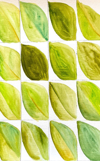 02_PLANTASPR_edited.jpg